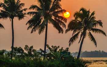 Alappuzha backwaters