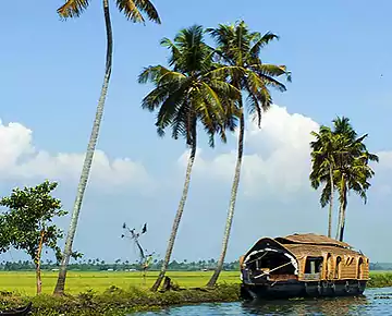 Alappuzha backwater trips
